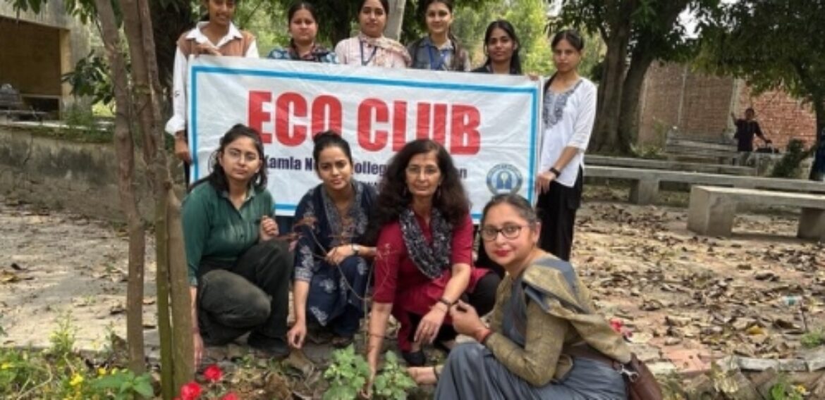 Plantation Drive