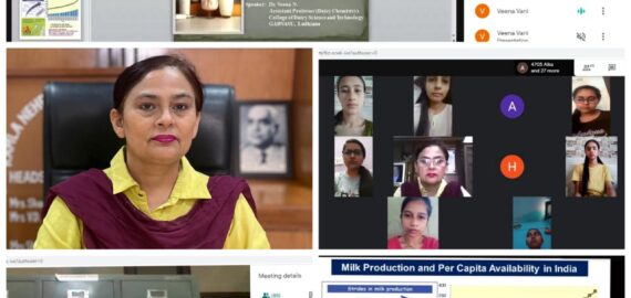 a webinar on the topic “Importance of Milk and Milk Products in the Diet”