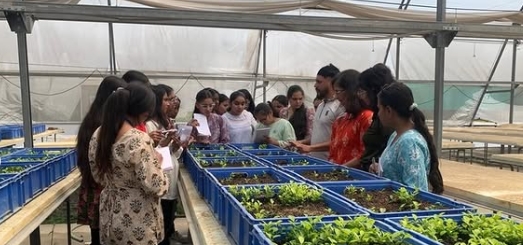Eco Club Explores Innovations in Citrus Farming